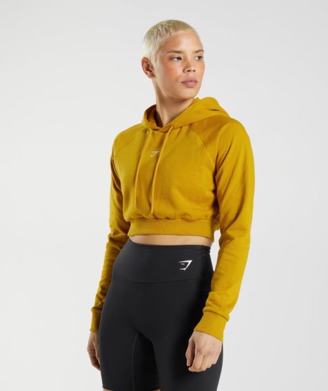 Women's Gymshark Training Cropped Hoodie Yellow | CA 80NA35